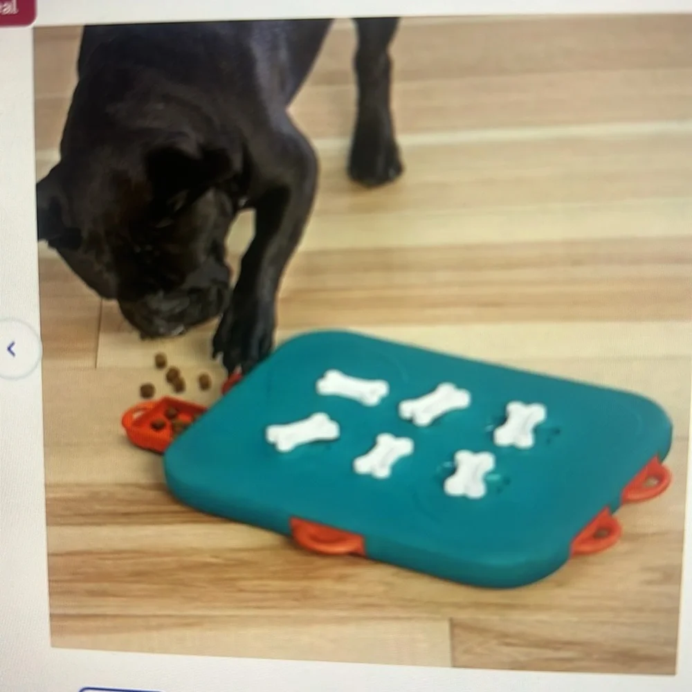 Outward Hound Nina Ottoson Casino Puzzle Game Dog Toy NWOT